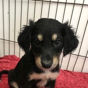 Meet your Posher, Jane